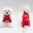 thumbnail image 3 of Ropa para perros en otoño e invierno Ropa para perros pequeños y medianos de cuatro patas Teddy Xiong Fadou Bo Mei, 3 of 6