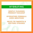 thumbnail image 2 of Cantu Avocado Hydrating Shampoo, 13.5 fl oz, 2 of 8