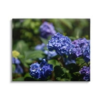 Stupell Industries Purple Hydrangea Photography Botanical & Floral Photography Gallery Wrapped Canvas Print Wall Art, 48 x 36