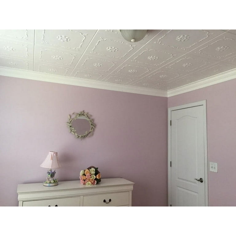 What Kind Of Paint To Use On Foam Ceiling Tiles Shelly Lighting
