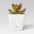 thumbnail image 3 of 6"x6" Square Plant Pots, Indoor Outdoor Use, Durable Planter Pots for Garden Flower and Vegetable Growing, 3 of 4