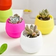 succulent flower pot mini stone rainbow pp resin lazy self absorbent nursery pots for plants