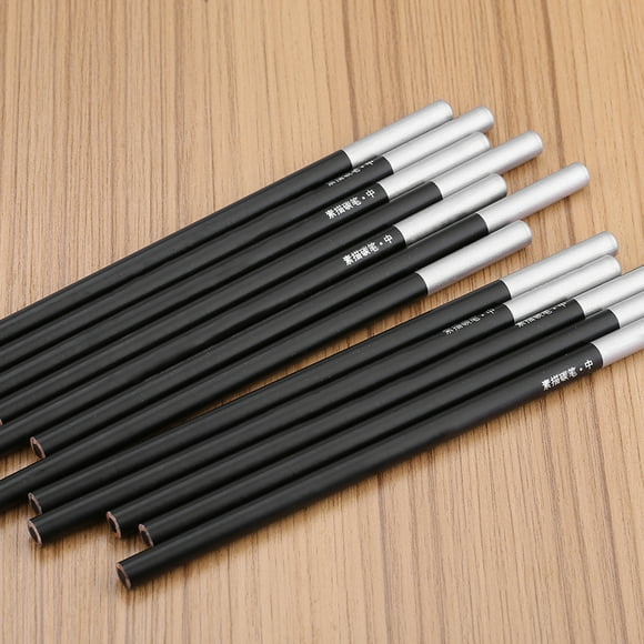 Crayon de Dessin au Charbon, Ensemble de Crayons de Dessin au Charbon, 12 Pcs/lot Fournitures Scolaires pour Étudiants et Amateurs de Peinture