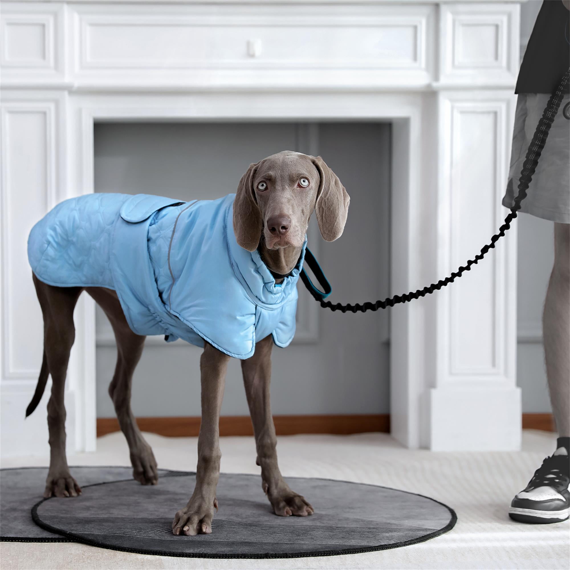 Kadyn Reversible Water Repellent Dog Jacket Pets Apparel Winter Warm Outdoor Sport Dog Coats for Winter Cold Weather Puppy Comfort Vest, Blue XL Kadyn Reversible Water Repellent Dog Jacket Pets Apparel Winter Warm Outdoor Sport Dog Coats for Winter Cold Weather Puppy Comfort Vest, Blue XL