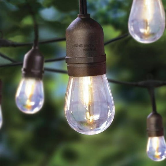 Crosslight IDD193063BM Classic Bulb LED String Lights, Warm White