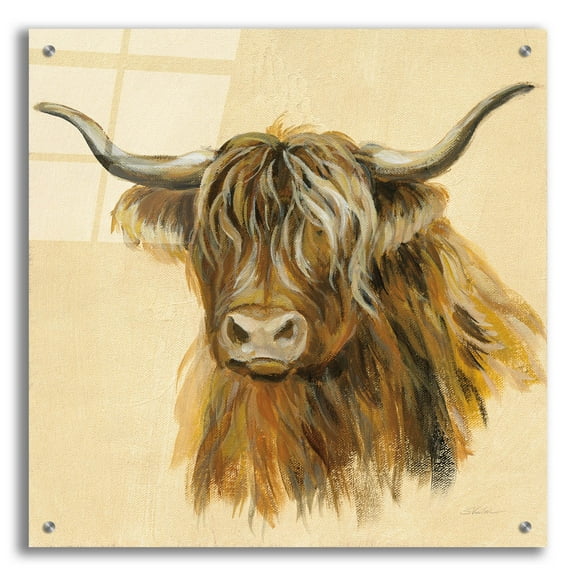 Epic Art 'Highland Animal Cow' by Silvia Vassileva, Acrylic Glass Wall Art, 24"x24"