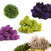 Proflora Preserved Green Moss Mix Collection, 150 CU in - Floral Arranging Supplies