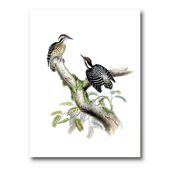 Ancient Birds In The Wild VIII 12 in x 8 in Painting Canvas Art Print, by Designart