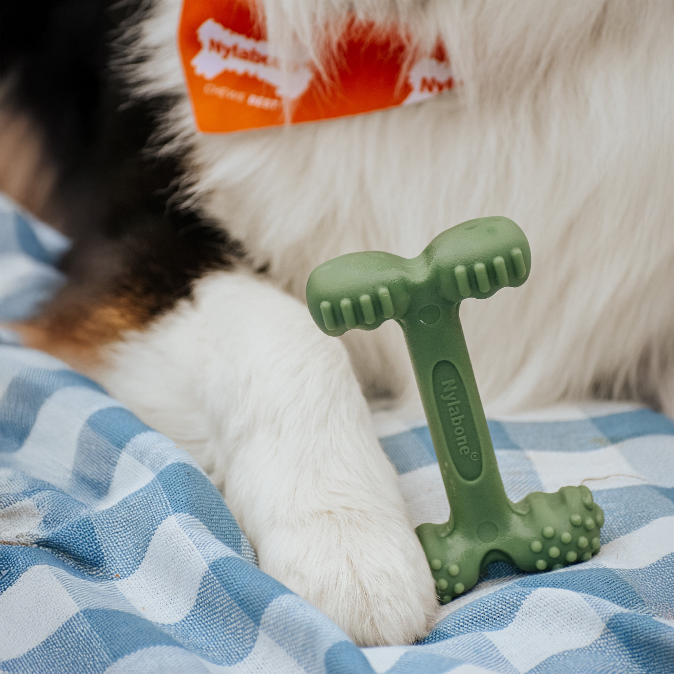 (2 pack) Nylabone Power Chew Easy Hold Bone Dog Toy, Dog Chew Toy, Bacon Flavor, Large, 1 Count