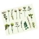 thumbnail image 2 of 30Pcs Vintage Plants Flowers Leaves Stickers Vintage Retro Flower Plant Stickers Decals for Laptop Scrapbooking Journal Planner Card Making Amidst The Mountain Mist, 2 of 5