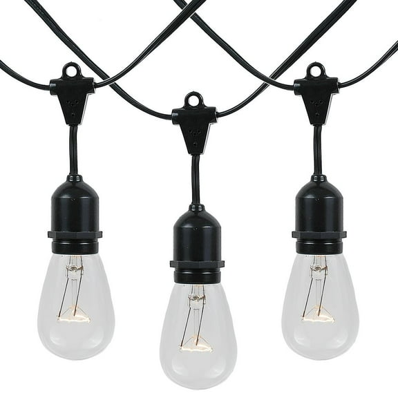 Novelty Lights Clear Incandescent Edison Outdoor String Lights with 50 Bulbs S14 Vintage Bulbs Black Wire Suspended 100 Feet