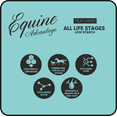 thumbnail image 6 of (2 pack) Equine Advantage All Life Stages Low Starch Horse Feed, 6 of 8
