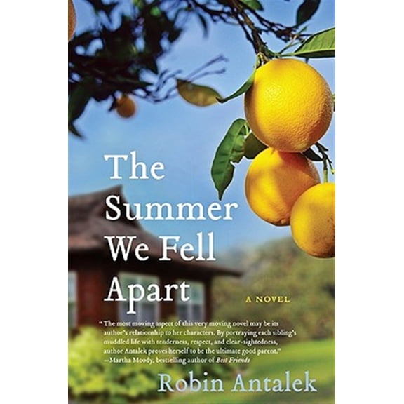 Pre-Owned The Summer We Fell Apart Paperback
