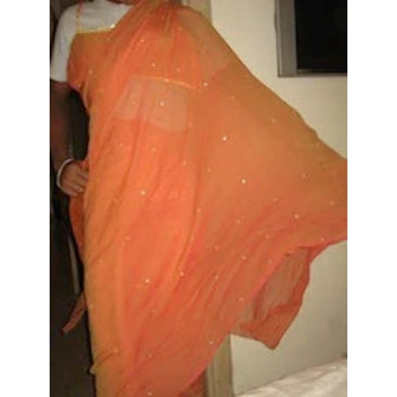 Pretty Pure Silk Iridescent 2Toned Chiffon Indian Saree