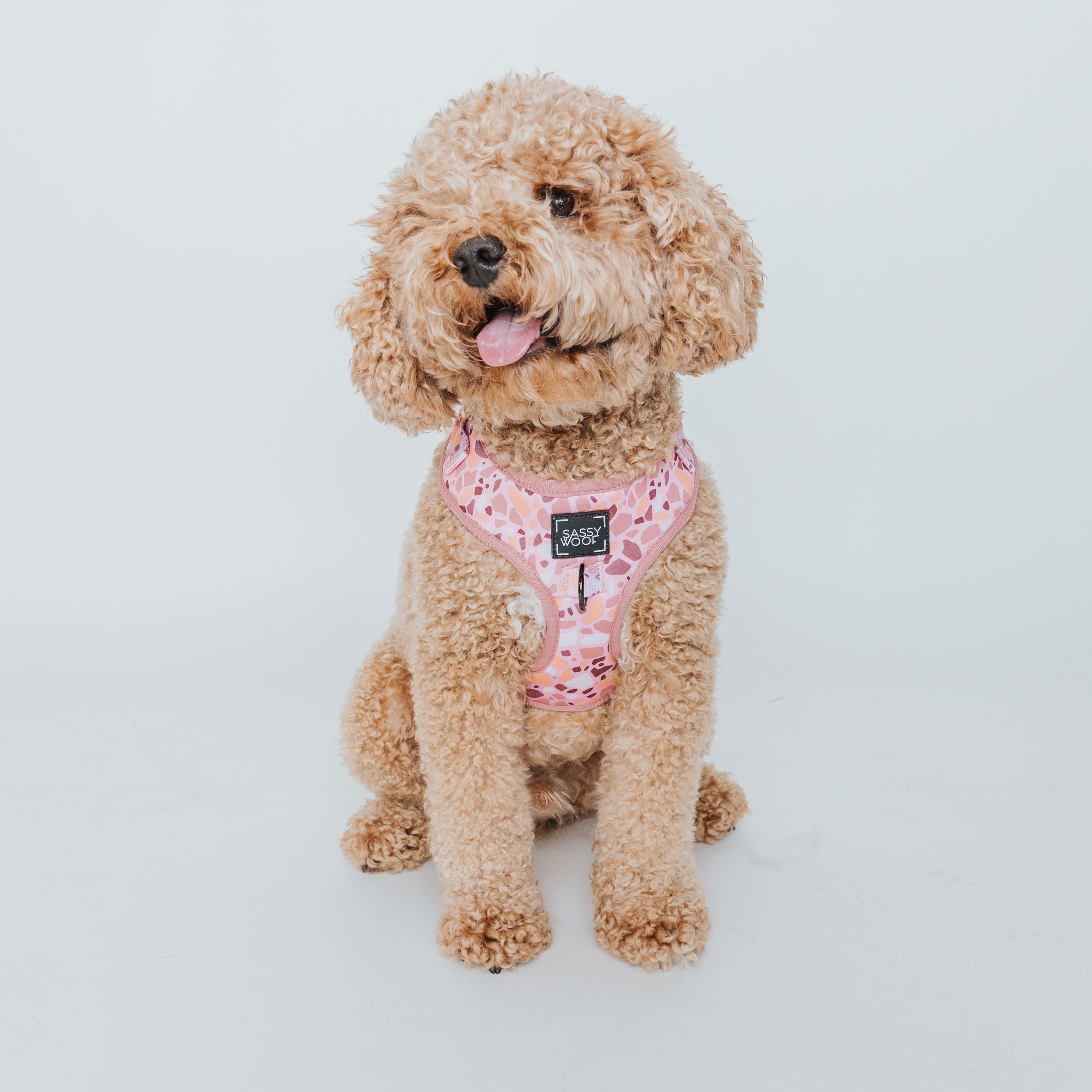 Sassy Woof Comfort Dual-Clip Adjustable Dog Harness - Pink Terrazzo, Extra Small