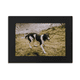thumbnail image 1 of Foto de perro negro blanco animal Marco de Fotos de escritorio imagen Arte Negro Pintura 5x7 pulgadas, 1 of 4