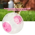thumbnail image 4 of Hamster Exercise Ball Hamster Ball Hamster Toy Gerbil Exercise Ball 18.5cm New Fashion Plastic Small Pet Hamster Gerbil Toy Running Activity Exercise BallPink, 4 of 8