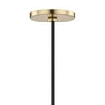 thumbnail image 2 of Mitzi H112701 Anya 1 Light 5-1/2" Wide Mini Pendant - Brass, 2 of 10