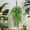 A1(1PC/P/25.6"), variant on Luysn 1Pc Fake Hanging Plants Deep Green Eucalyptus Leaves Uv Resistant Fake Vines Ivy Artificial Plants Outdoor Faux Plants Indoor Bedroom Living Room Boho Wall Porch Shelf Decor 25.6"