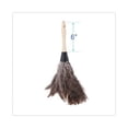 thumbnail image 2 of Professional Ostrich Feather Duster, Gray, 14" Length, 6" Handle | Bundle of 10 Each, 2 of 7