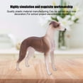 thumbnail image 3 of Fosa Simulation Brown Greyhound Model Ornaments Desktop Decoration Children Toy Gift,Greyhound Model, 3 of 8