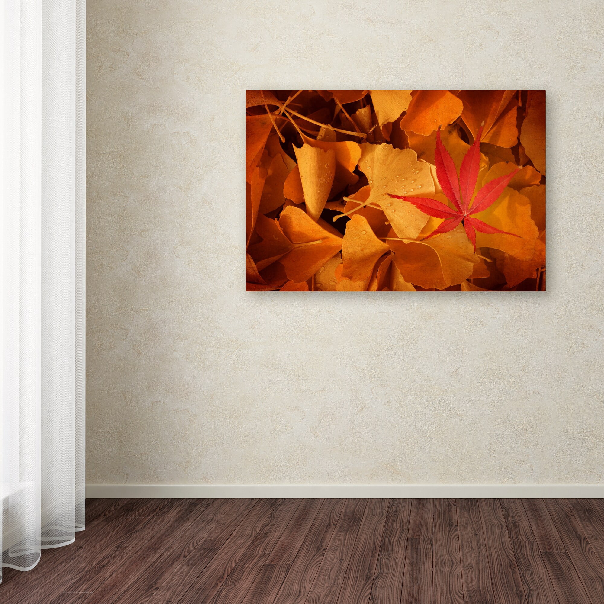 Trademark Fine Art "Lost & Found" Canvas Art by Philippe Sainte-Laudy