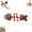 B, variant on Fish Bone Shaped Cat Chew Toy, Natural Sticks with Catnip Fish Pieces, Durable Kitten Dental Teeth Cleaning Toy for Indoor Cats Grinding Teeth & Stress Relief