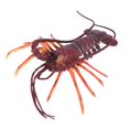 thumbnail image 4 of Plastic Lobster Decor, Durable Non- And   And Soft High Simulation Plastic Lobster, For Home Kids Toy, 4 of 8