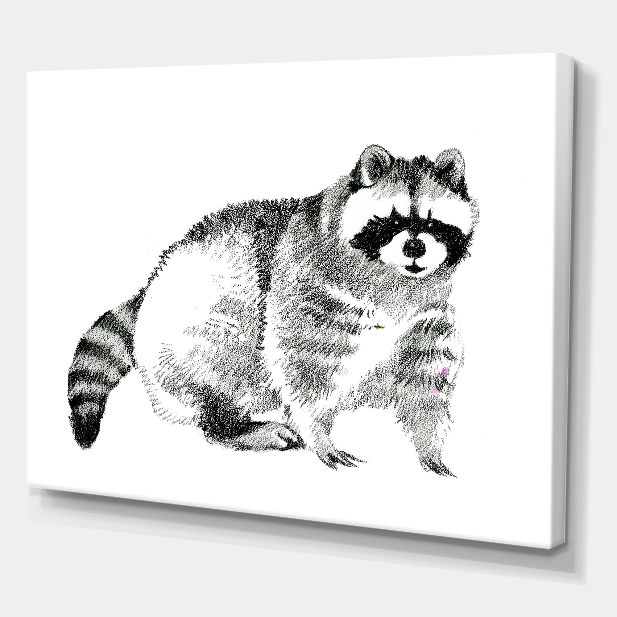 Designart ' Black and White Portrait Of Raccoon ' Farmhouse Canvas Wall Art Print