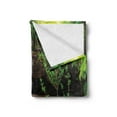 thumbnail image 2 of Waterfall Soft Flannel Fleece Blanket, Little Waterfalls Flow on Rock Stairs Surrounded by Long Plants Earth, Cozy Plush for Indoor and Outdoor Use, 60" x 80", Brown White and Green, by Ambesonne, 2 of 5