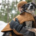 thumbnail image 2 of Carhartt Firm Duck Insulated Dog Chore Coat, Durable Weather Resistant Jacket for Cold and Windy Conditions, PFAS Free (Deep Wine), Small, 2 of 6
