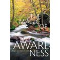 thumbnail image 2 of The Magic of Awareness, 2 of 3