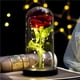 thumbnail image 5 of Matsuzay Flor de rosa eterna, pantalla de cristal, belleza, lámpara LED con batería, boda, cumpleaños, decoración de fiesta de San Valentín Iluminación navideña Matsuzay HA021815-00, 5 of 6