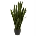 thumbnail image 1 of Sansevieria with Black Planter, 1 of 1