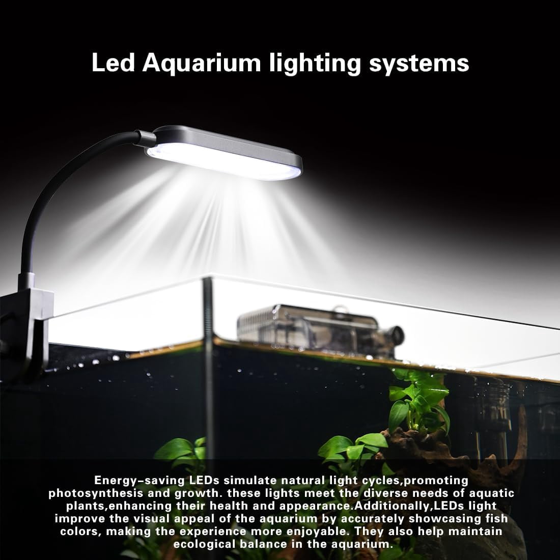Glass Fish Tank Kit, 2.8 Gallon Small Aquarium, Ultra-Clear Nano Desktop Tank with Light and Filter, Betta Fish Starter Kit