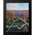 thumbnail image 2 of Fitzharris, Tim 12x14 Black Modern Framed Museum Art Print Titled - Desert View Overlook-Grand Canyon National Park-Arizona-USA, 2 of 5