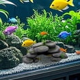 thumbnail image 5 of LLDYYDS Reptile Hides and Caves Rock Reptile Hideout Terrarium Habitat DÃ©cor for Bearded Dragon Lizards Ball Python Snakes One Size, 5 of 5