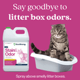 thumbnail image 6 of Cat Stain and Odor Eliminator: Enzyme Urine Odor Neutralizer and Stain Remover, 1 Gallon, 6 of 10
