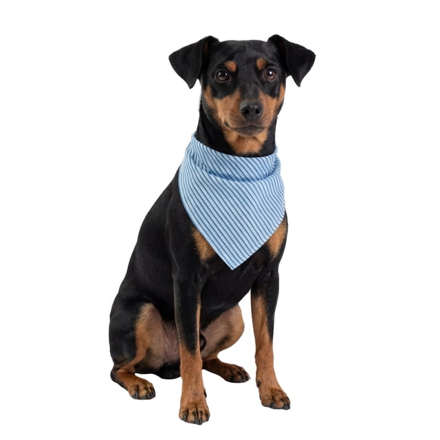 One Paw, Dog Bandana, Soft Fabric, Multiple Colors and Sizes