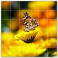 thumbnail image 1 of Picture-Tiles.com: Butterfly Ceramic Tile Wall Mural WAL500301-66XL. 72"W x 72"H using (36) 12" x 12" Ceramic Tiles-Satin Finish, 1 of 3