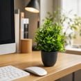 thumbnail image 5 of Set of 4 Artificial Potted Plants | Plastic Green Foliage | Indoor & Outdoor Décor | Realistic Small Fake Plants for Home and Office Decoration, 5 of 6