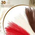 thumbnail image 3 of Uxcell 30 Pcs Faux Pampas Grass 52cm/20.5" Artificial Fake Dried Pampas Grass Decor with Stem for Floor Vase Filler, Home Decoration, Milk White/Dark Brown/Red, 3 of 7