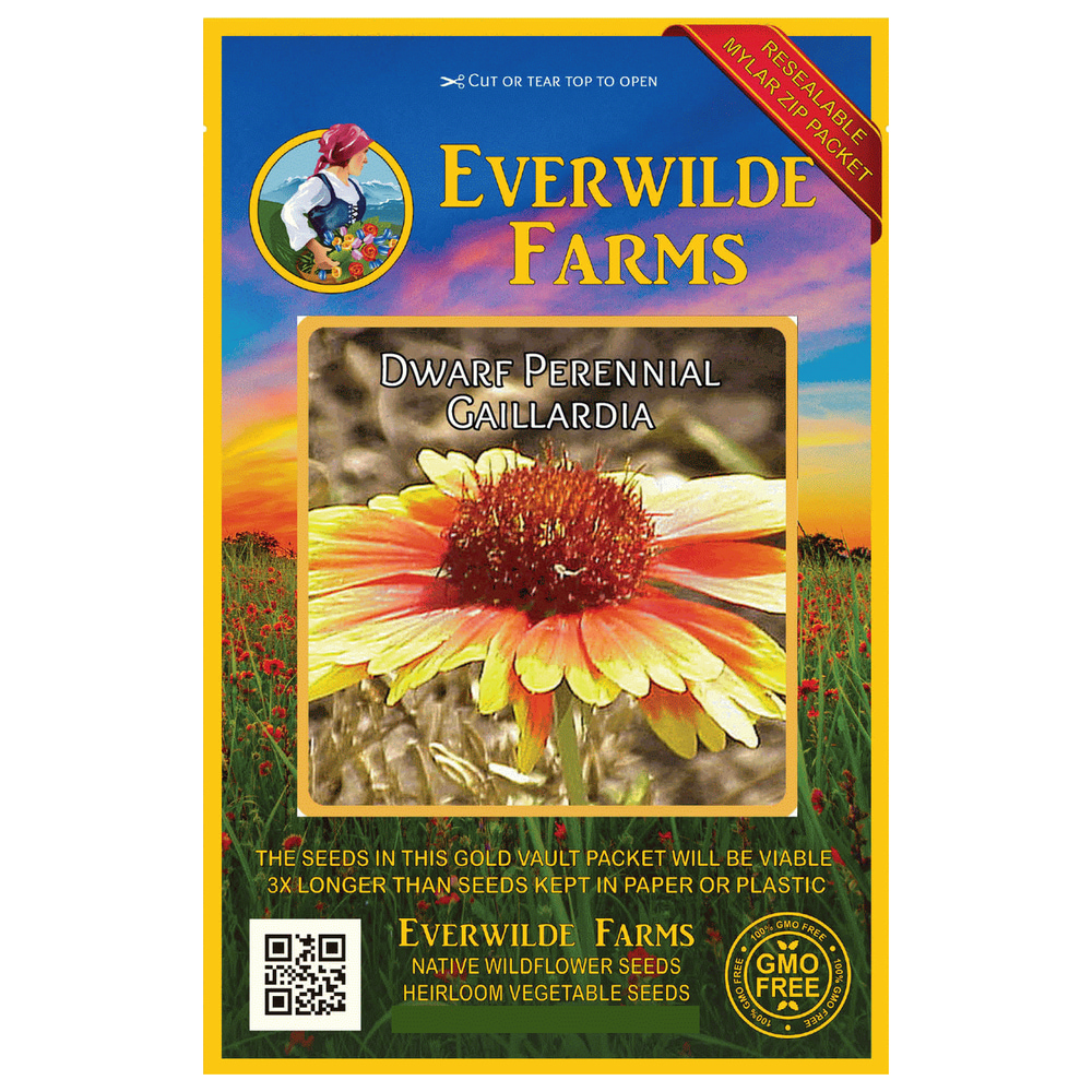 Everwilde Farms 500 Dwarf Perennial Gaillardia Native Wildflower