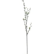 Teters Floral Green Pussy Willow Branch, 1 Each