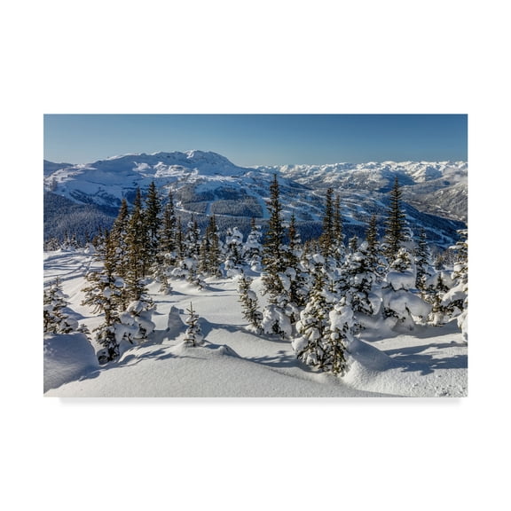 Trademark Fine Art 'Whistler Mountain Winter' Canvas Art by Pierre Leclerc