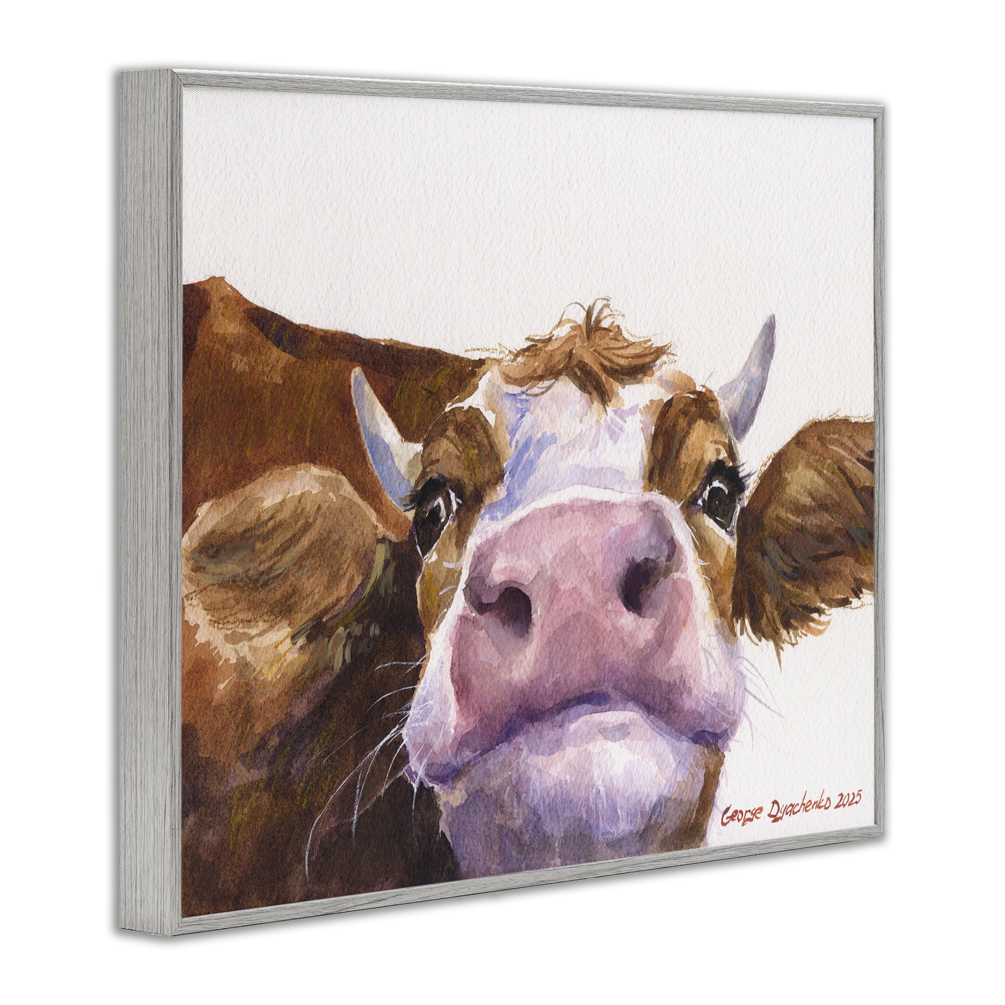 Stupell Industries Cute Cow Close Up Gray Framed Giclee Art, design by George Dyachenko