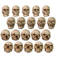 thumbnail image 2 of BKER Mini Figurine Miniature Skeleton Head Table DecorHalloween Micro FigureHalloween Prank PropsHaunted Dollhouse Accessories20PCS, 2 of 6
