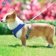 thumbnail image 5 of Deago Dog Harness Leash Set, Dog Harness No-Pull Pet Harness Adjustable Reflective Mesh Outdoor Pet Vest for Dogs Easy Control for Small Medium Dogs - Size XS, Blue, 5 of 10