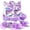 Purple, variant on Gymax Kids Roller Skates 4 Sizes Adjustable Quad Skates w/Light-up Wheels for Sports Purple