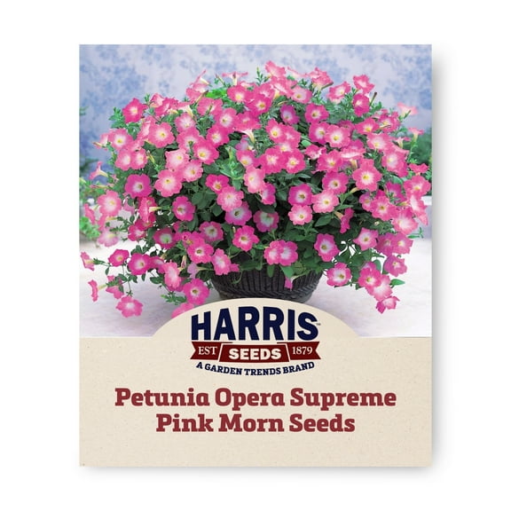 Harris Seeds - Petunia Seeds - Opera Supreme Pink Morn F1 Variety - 100 Seeds